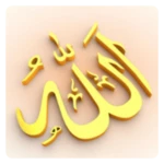 99 names of allah hindi | alla android application logo